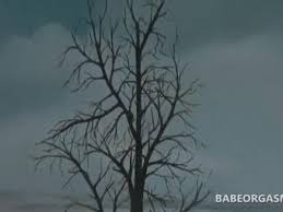 Sign up, share your style and enjoy the brunette girls community. Brunette In Fishnets Anal Toyed