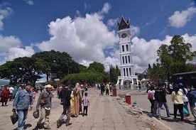 Stevia adalah genus dari sekitar 240 spesis tumbuhan dan semak dalam keluarga bunga matahari (asteraceae), berasal dari penyelidikan perubatan juga menunjukkan manfaat yang timbul daripada stevia dalam mengubati obesiti dan tekanan darah tinggi. Lokasi Wisata Ditutup Imbas Corona Walkot Bukittingi Mencegah Lebih Baik Daripada Mengobati Okezone News