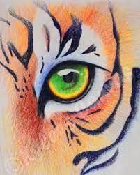 Are you looking to draw an eye in colored pencil? Tiger Eye Colored Pencil On Paper Art Cool Art Colored Pencils