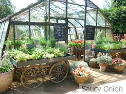 Saucy Onion Petersham Nurseries Restaurant London Scent Garden Greenhouse Cafe Garden Center Displays