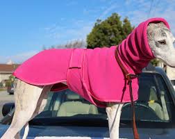 Whippet Ig Greyhound Thick Single Layer Polartec Fleece Coat Non Pil Velour Finish Made To Order Bright Pink Sighthound Whippet Greyhound