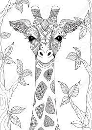 No response for giraffe coloring pages for adults 73193. Giraffe Adult Coloring