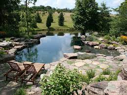 How to maintain a garden pond. Top 7 Tips On How To Maintain An Algae Free Pond