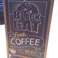 As a premium coffee truck converted from an ambulance, they understand the but where two cat coffee stands apart from the rest is in its offering of signature drinks, named after two adorable black and white cats. Black Cat Coffee House Coffee Shop In Phoenix