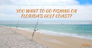 You Want To Go Fishing On Floridas Gulf Coast Heres What