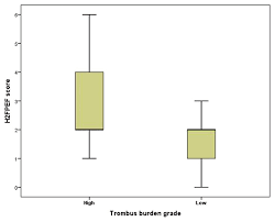 Image result for H2FPEF Score