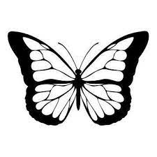 Butterfly Drawing Butterfly Drawing Butterfly Tattoo Stencil Butterfly Clip Art