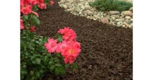 Vigoro 76 9 Cu Ft Mocha Brown Rubber Mulch Ltgmbmn1ts The Home Depot Mulch Landscaping Commercial Landscaping Low Maintenance Garden