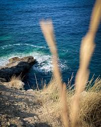 145 pokojů, vstupní hala s recepcí, lobby, restaurace, bar. Evita Bay Crete Greece A Post By Marc Thiele