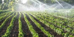Water Conservation Techniques In Arid Or Dryland Agriculture Systems Water Conservation Conservation Soil Conservation