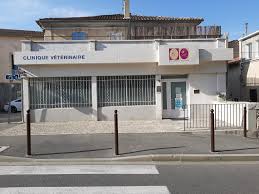 Clinique Véto P'tits Soins
