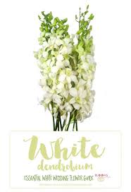 Essential White Wedding Flower Guide Names Types Pics White Wedding Flowers Wedding Flower Guide Wedding Flowers