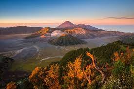 bromo ijen trip