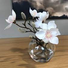 Maybe you would like to learn more about one of these? Magnolia Flowers In Vase Small Clu Living