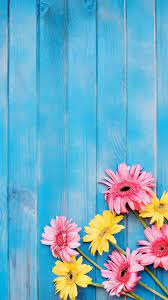 Flowers Wallpaper By Georgekev 3a Free On Zedge Flowers Photography Wallpaper Cute Flower Wallpapers Flower Background Wallpaper