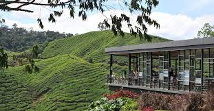 Dan sejuk diwaklu malam.memang seronok bercuti. Sejarah Pembukaan Cameron Highlands Pusat Pelancongan Tanah Tinggi Popular Malaysia Iluminasi