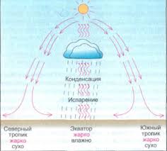 гдз по географии 7 класс рабочая тетрадь домогацких 2 часть Otvety K Rabochej Tetradi Po Geografii 7 Klass Domogackih Fgos 1 Chast Gdz I Reshebniki Gotovye Domashnie Zadaniya Dl Geografiya Rabochie Tetradi Domashnee Zadanie