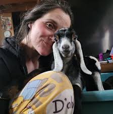 Where to buy local eggs and milk in Willow Alaska?