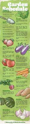 A Month By Month Guide To Gardening Growing Vegetables Plants Veggie Garden