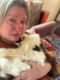 I'm so sad 😢 I lost him yesterday he was killed by a reckless old driver  please I need someone to talk to me i can't hold this pain.