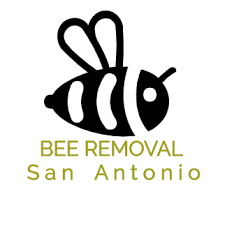 Bee control and wasps removal is a very common problem found throughout the city of san antonio and areas around. San Antonio Bee Removal Home Facebook