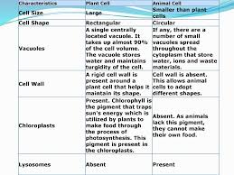 Plant cell size in uk. Hw 7c Read Pg 1 To 5 From Your Text Book And Write A Short Note On The History And Use Of Microscope In The Discovery Of Cells Draw A Time