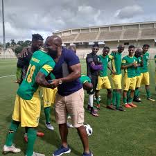 Also, it has a pink diamond on its back, as well as a black stone tip on its front. Golden Arrows Confirm Steve Komphela As Their New Head Coach