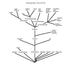 Lab Value Chart Tree 2019