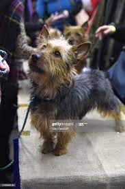 We did not find results for: Ctku6p0phk7fmm