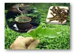 cosmeticos casera té verde