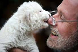 SFGate: Year in Pictures