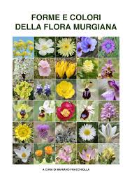 Maybe you would like to learn more about one of these? Calameo Forme E Colori Della Flora Murgiana