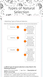 Natural selection is the term that's used to refer to the natural evolution over time of a species in which only the genes that help it adapt and survive are present. Types Of Natural Selection Interactive Worksheet By Teresa Reeves Wizer Me