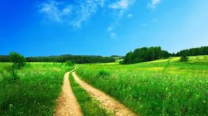 Maybe you would like to learn more about one of these? Grass Wallpaper Hd Airwallpaper Com