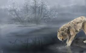 See the best hd wolf backgrounds collection. 1000 Best Wolf Mac Wallpapers Free Hd Download Allmacwallpaper