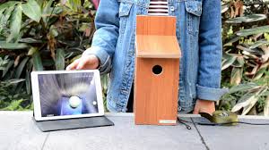 Perfect gift for all ages and for your birds too. How To Install The Wireless Bird Box Camera With Ipad Youtube