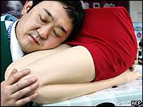 Image result for lap pillow