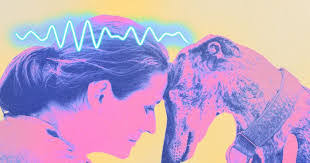 Shannon Novelli's Instagram, Twitter & Facebook