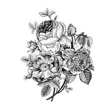 Anemone Flower Tattoo Black And White Botanical Stock Illustrations Cliparts And Royalty Free Botanical Vectors Flower Drawing Botanical Illustration Vintage Floral Cards