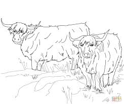 37+ longhorn coloring pages for printing and coloring. Highland Cow Coloring Page Novocom Top