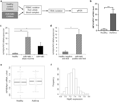 Targeted deletion of NFAT-Interacting-Protein-(NIP) 45 resolves  experimental asthma by inhibiting Innate Lymphoid Cells group 2 (ILC2) |  Scientific Reports