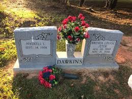 Brenda Louise Jeter Dawkins (1959-2016)