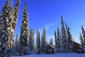 Maybe you would like to learn more about one of these? The Cabin In The Woods 2 æ£®æž—å°å±‹ 2 Ferienhaus Fairbanks