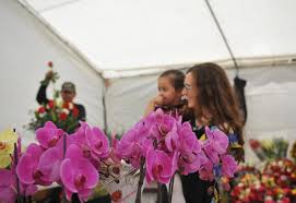 The tradition of mother's day (día de las madres) first began on may 10, 1922, when rafael alducin, editor of the mexico city newspaper el excelsior, wrote an article that sought to celebrate mother's day throughout mexico. Dia De Las Madres Why May 10 Is Mother S Day In Much Of Latin America
