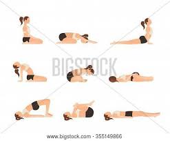 We did not find results for: Yoga Poses Better Vector Photo Free Trial Bigstock