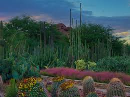 Desert botanical garden deals, promotional codes & coupons give you the best possible prices when you purchase your favorite brands online in 2021. 20 Best Botanical Gardens To Visit This Spring 2021 Trips To Discover