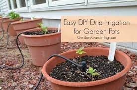 How To Install A Diy Drip Irrigation System For Potted Plants Drip Irrigation Irrigation System Diy Drip Irrigation Diy
