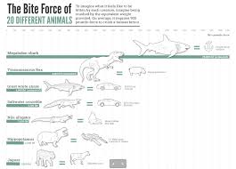The Bite Force Of Different Animals