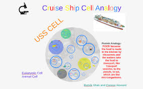Check spelling or type a new query. Cruise Ship Cell Analogy By Connor Howard
