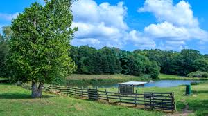 Clark's landscaping ⭐ , united states of america, state of wyoming, fremont county: Connecticut Alan Pasetti Photography